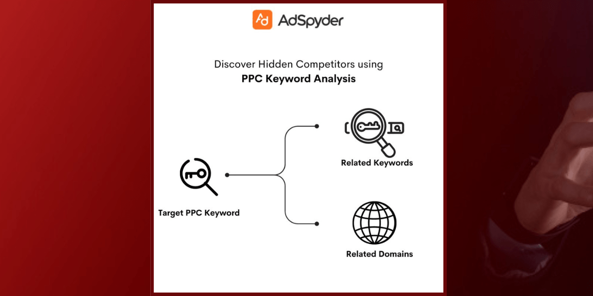 Discover PPC Keyword Analysis with AdSpyder